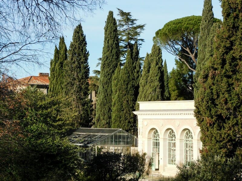 Vue du Jardin des Plantes de Montpellier