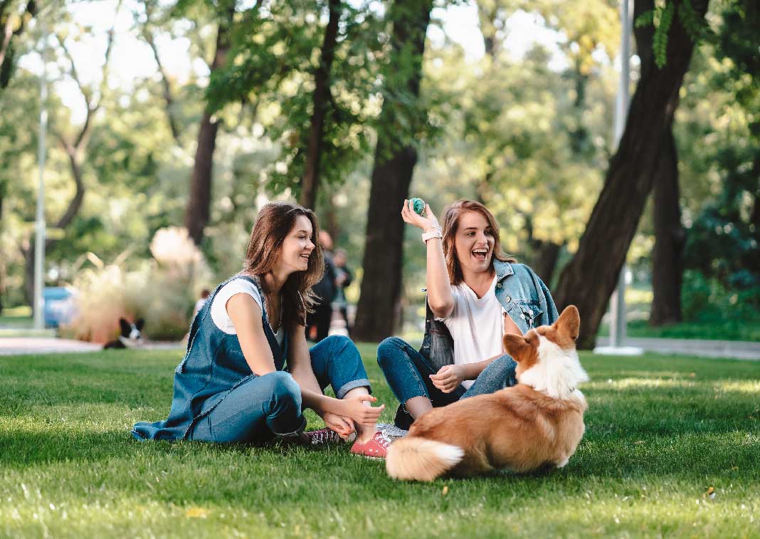 Deux femmes qui jouent avec un chien dans les parcs et jardins de Toulouse
